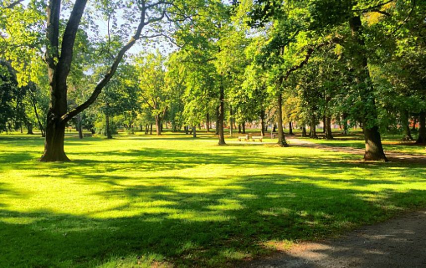 700th Anniversary Park